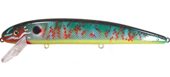 Musky Mania 8" Jake