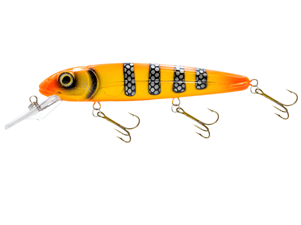 Livingston Lures Rachel