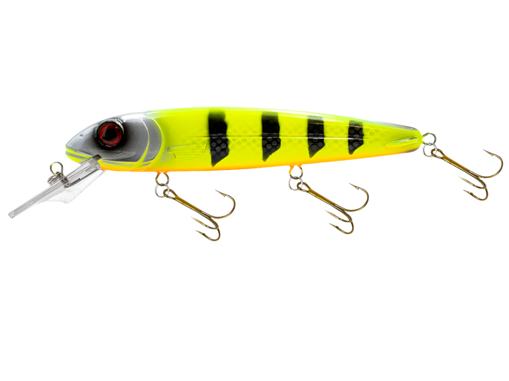 Livingston Lures Rachel