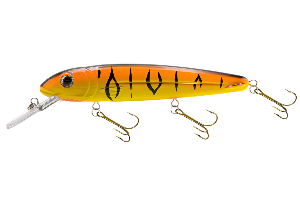 Livingston Lures Rachel