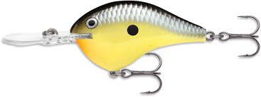 Rapala DT (Dives-To) Series