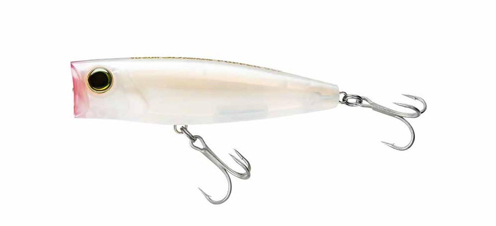 Yo-Zuri 3D Inshore Popper